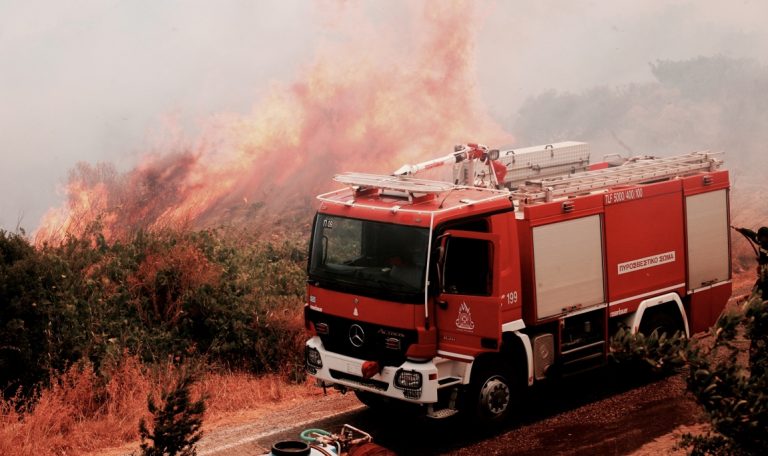 State of Emergency declared after fires ravaged Evia