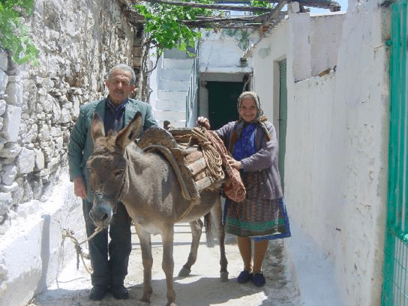Greek villagers enjoy long & healthy life due to unique heart gene 16