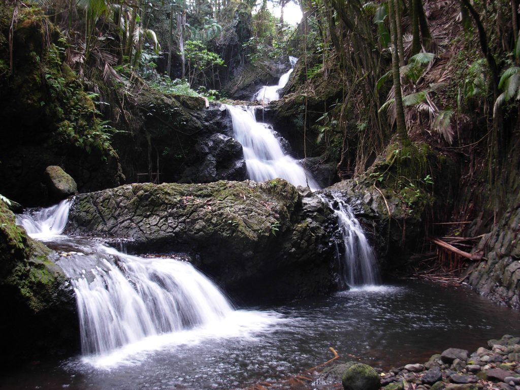Flickr brewbooks Waterfall Hawaii Tropical Botanical Garden