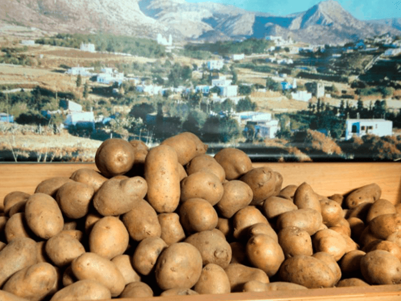 Naxos set to break world record serving largest amount of Tiganites Patates 2