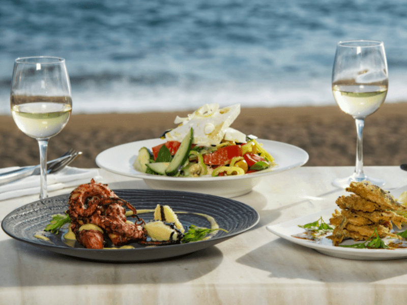 First International Hellenic Gastronomy Conference – Greek City Times