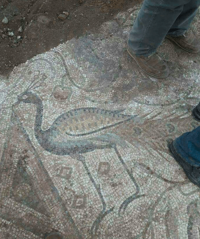 Greek mosaic