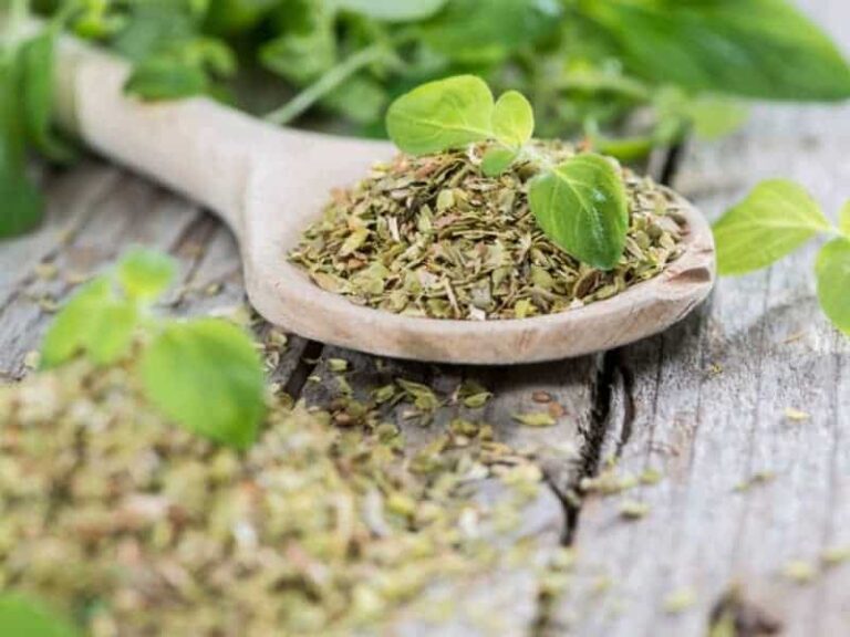 Greek Oregano one of the healthiest & tastiest herbs in the world