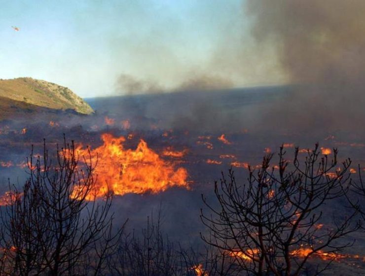 Zakynthos fires