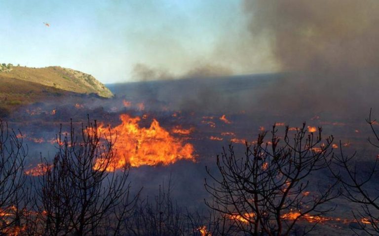 Wildfire breaks in the village of Kalamaki in Zakynthos
