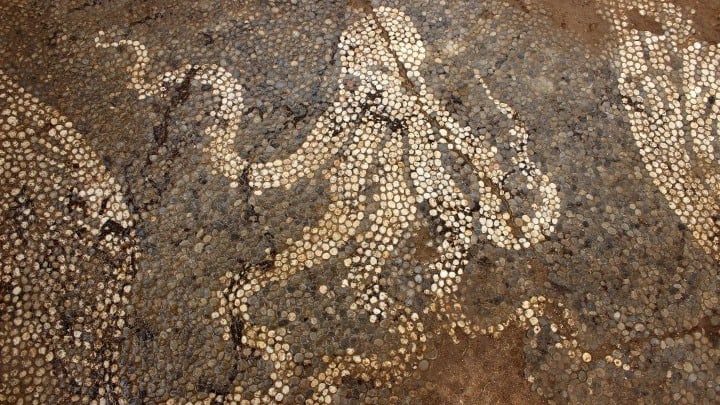 Mosaic octopus