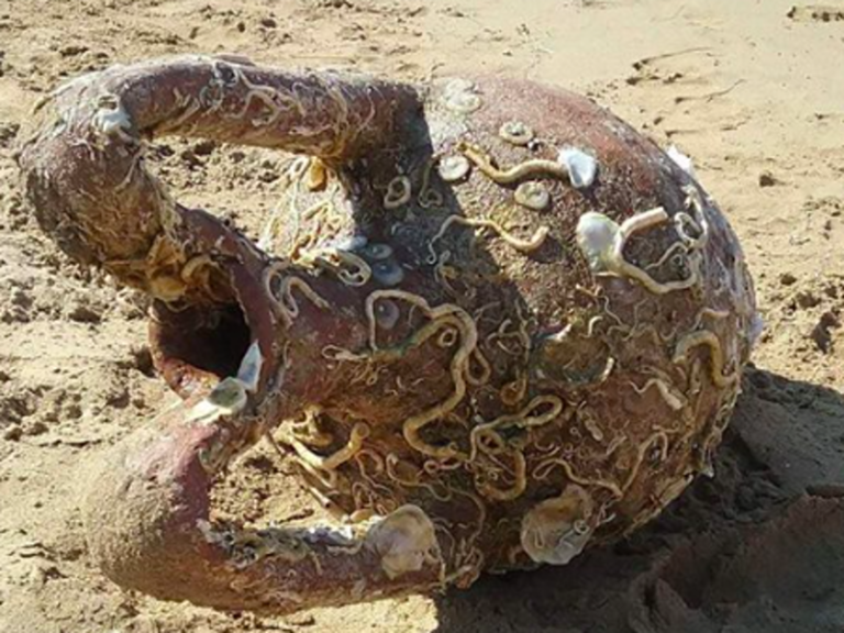 Historic Byzantine Amphora discovered by swimmer at beach in Crete