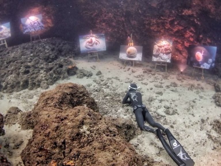 World’s first undersea photo exhibition takes place on Amorgos island
