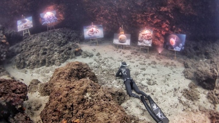Underwater gallery
