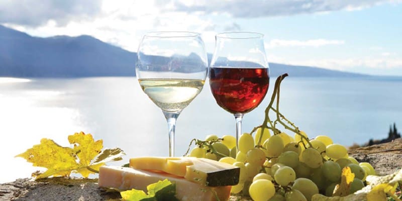 New momentum for SA wine tourism