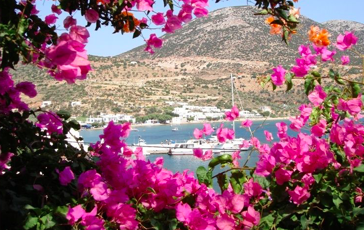 Greece on the scent of success with over 7,000 flora species 3