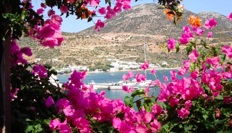 Greece on the scent of success with over 7,000 flora species