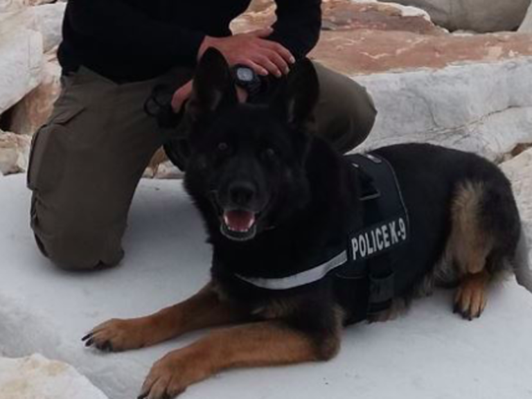 Greek police bid sad farewell to their beloved dog 'Tzaki'