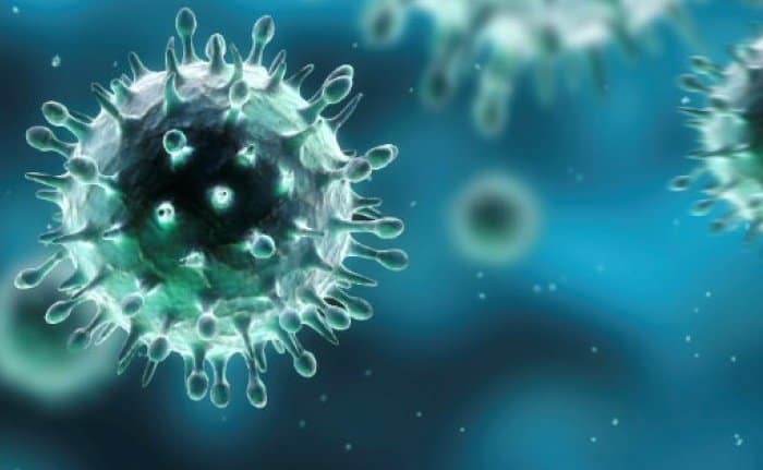 First death from influenza reported 7