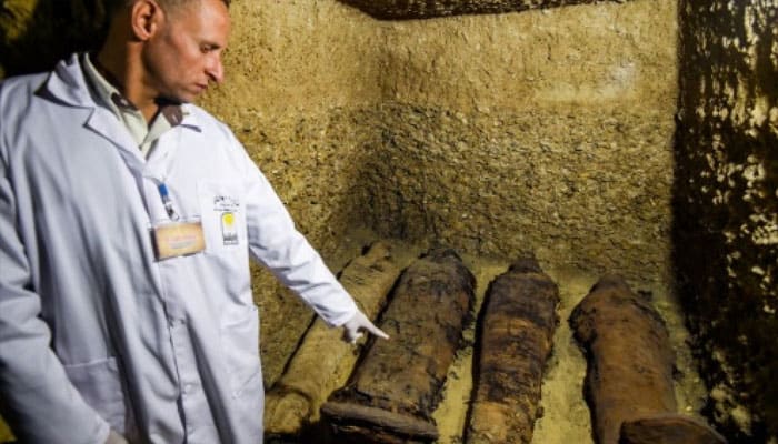 Egypt on Saturday unveiled over 40 mummies dating back to the Ptolemaic era at a burial site in the centre of the country.