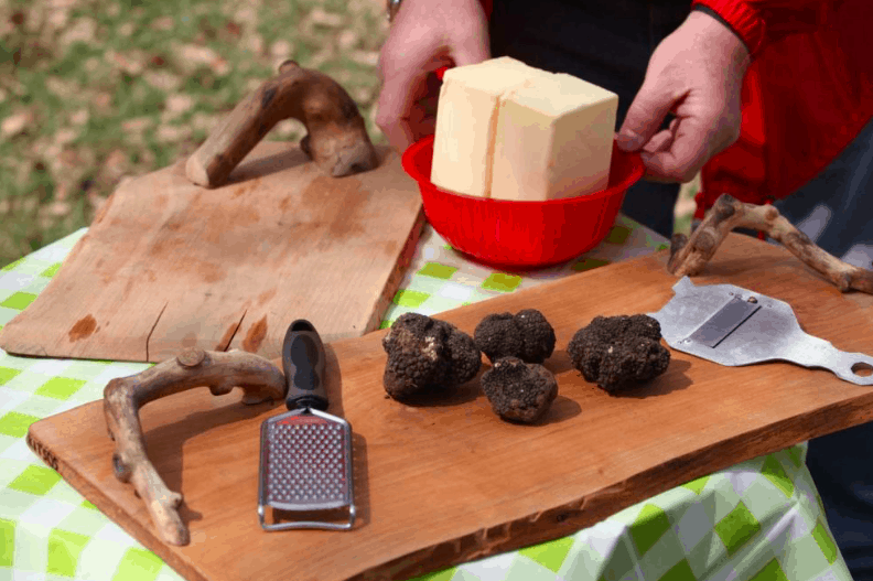 truffle hunting truffles