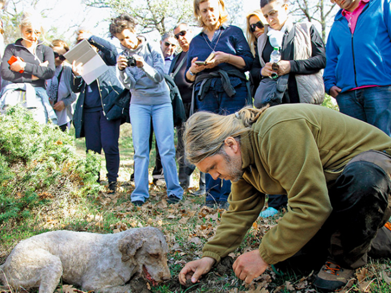 Truffle hunting season set to start in Meteora