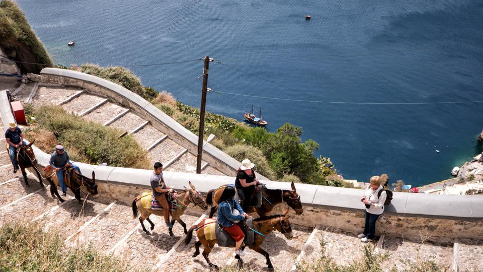 Tourists in Santorini urged to take the steps instead of riding donkeys 4