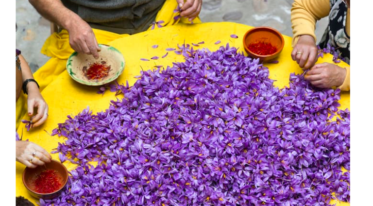 Saffron, Greece’s ‘Red gold’ to be exported to China by end of May