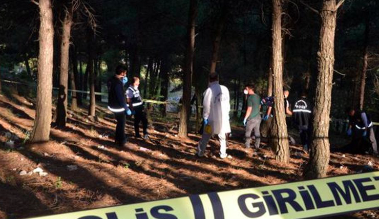 86-year-old Greek man killed in Imvros 33