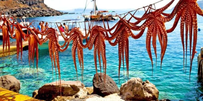 Why Do Greeks Sun-Dry Octopuses?