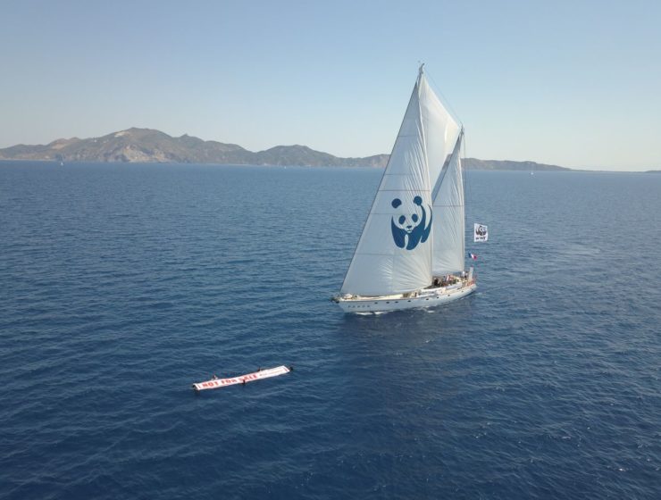 The World Wildlife Fund (WWF) ship Blue Panda