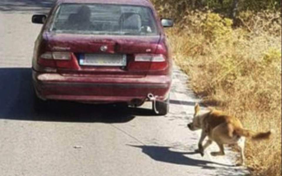 Man arrested in Crete after dragging a dog with his car 2