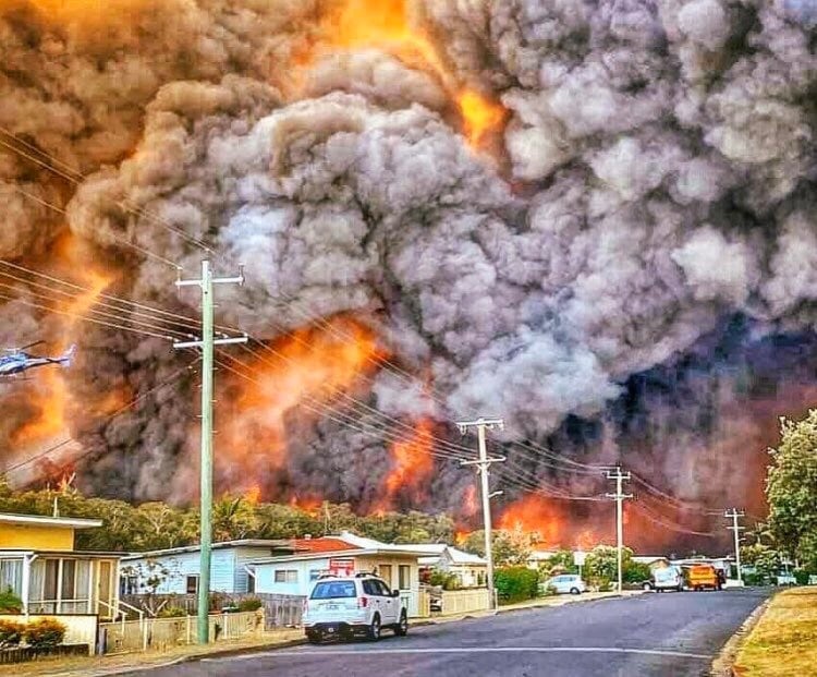 NSW bushfires