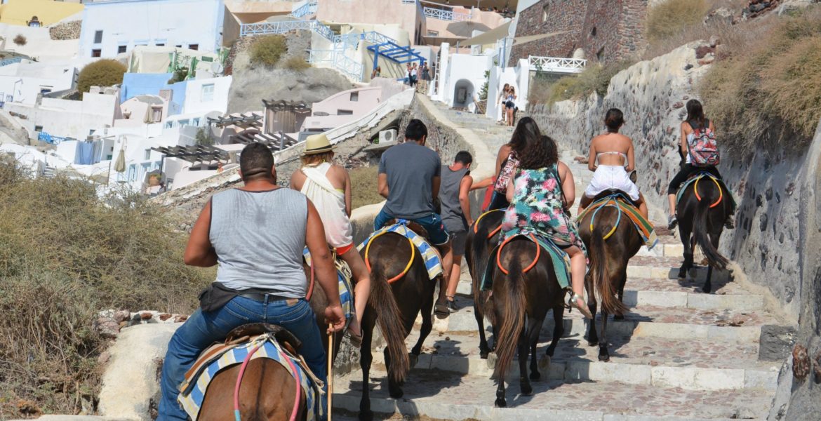 Animal rights group claims Donkeys are still being abused in Santorini (VIDEO) 1