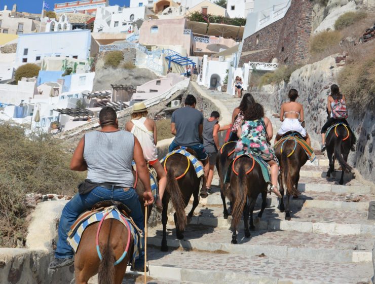 Animal rights group claims Donkeys are still being abused in Santorini (VIDEO) 3