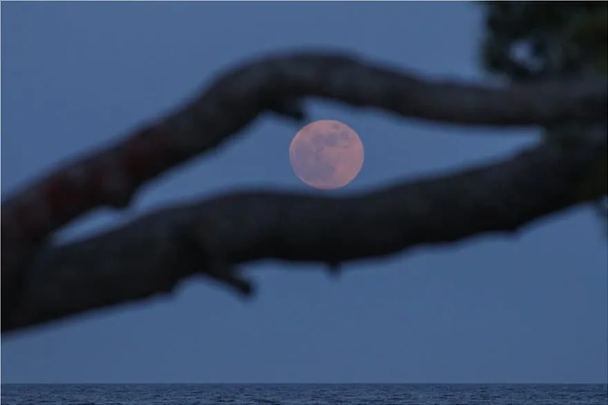 See images of the impressive "Strawberry Moon" in Greece 11