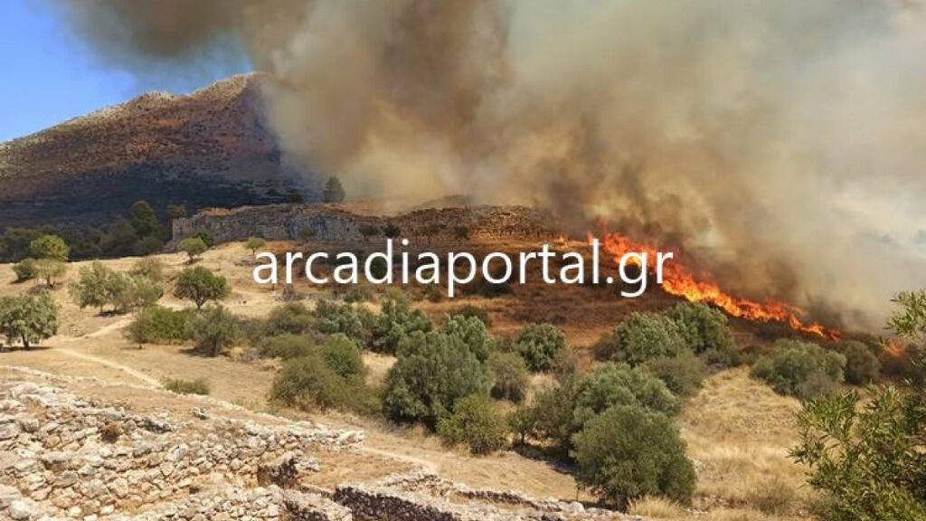 Fire at Mycenae, antiquities not damaged