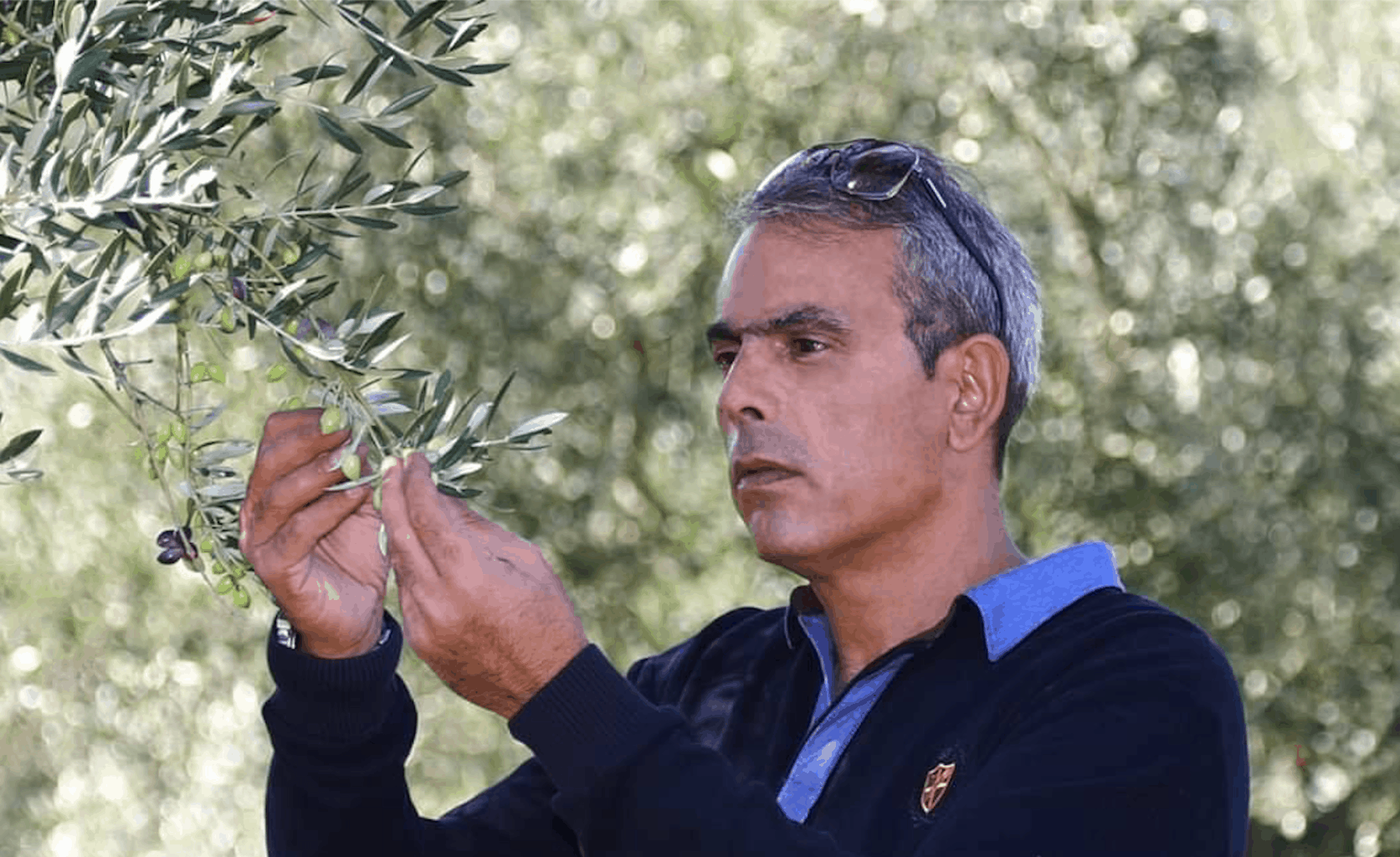 Sakellaropoulos Organic Farms sets world record, winning 203 international awards
