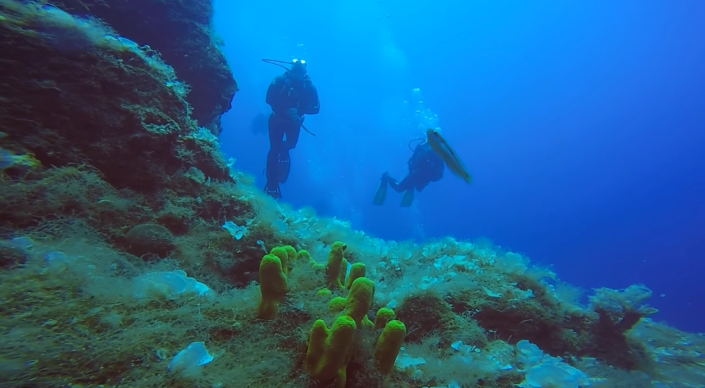Top 5 Diving Destinations in Greece 10