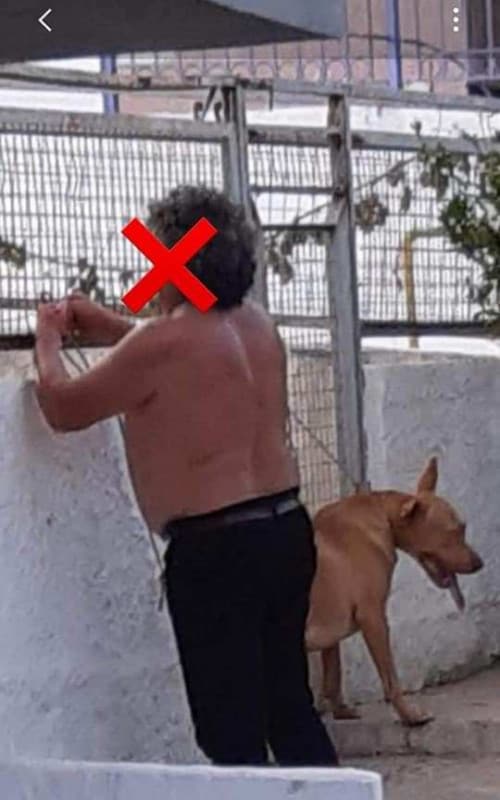 Cretan man accused of animal cruelty, turns himself in
