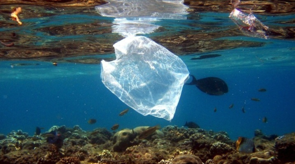 Plastic dumped in Mediterranean Sea could double in 20 years