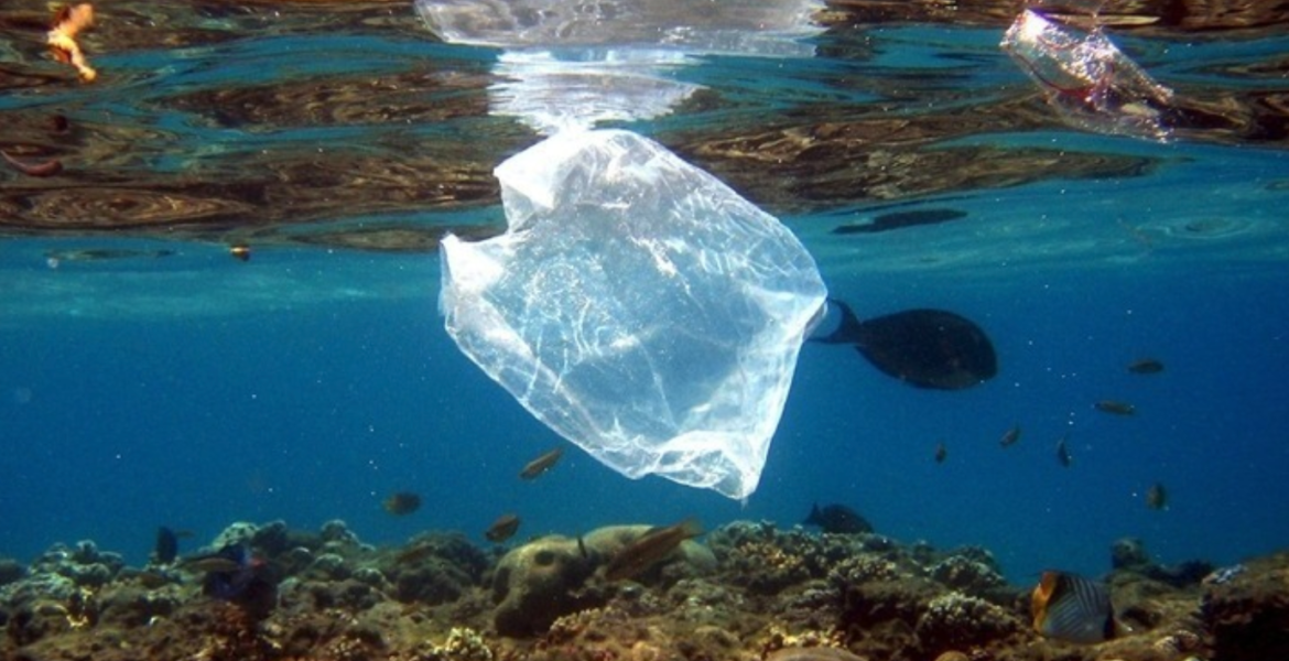 Plastic dumped in Mediterranean Sea could double in 20 years