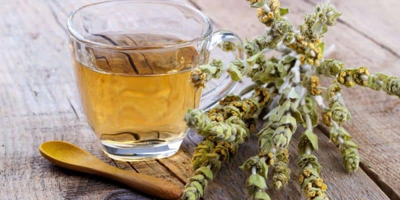 Greek herbal tea mountain tea