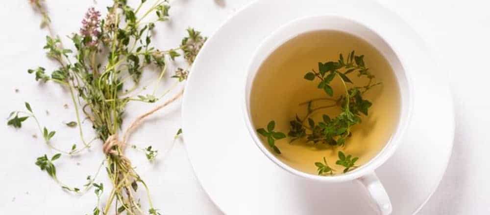 Greek herbal tea thyme