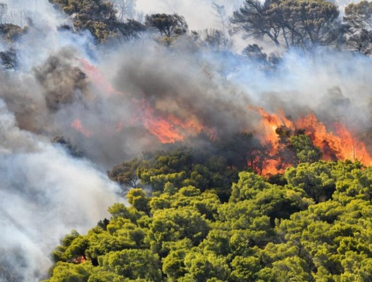 Firefighters battle flames on the island of Zakynthos