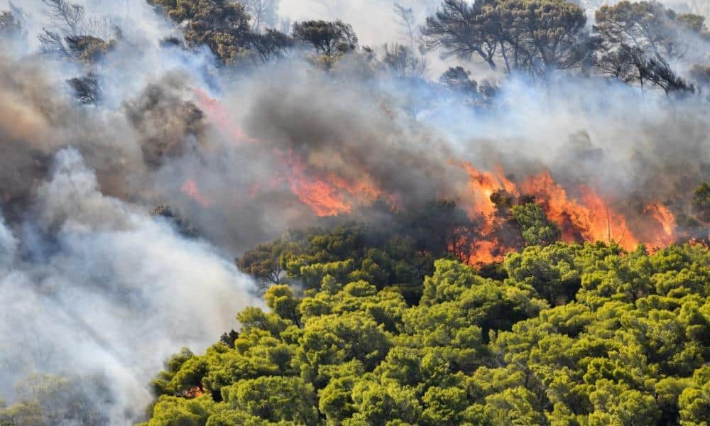 Firefighters battle flames on the island of Zakynthos
