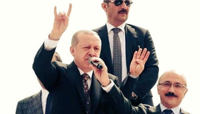 Recep Tayyip Erdoğan Gray Wolves