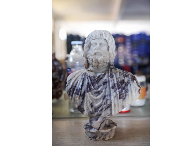 Discovered Zeus-Serapis bust.