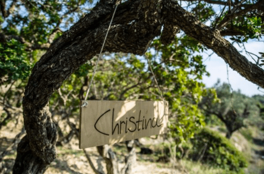 adopt a Chios mastiha tree