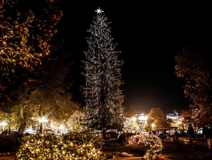 Greece's tallest natural Christmas tree lighting moved online