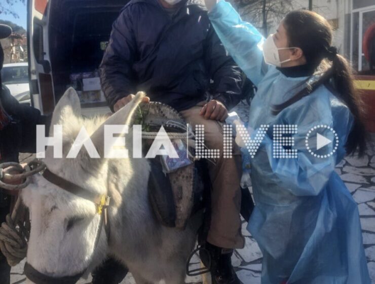World first: Greek village drive-thru donkey covid rapid tests 10
