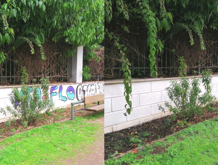 Athens continues to tackle graffiti