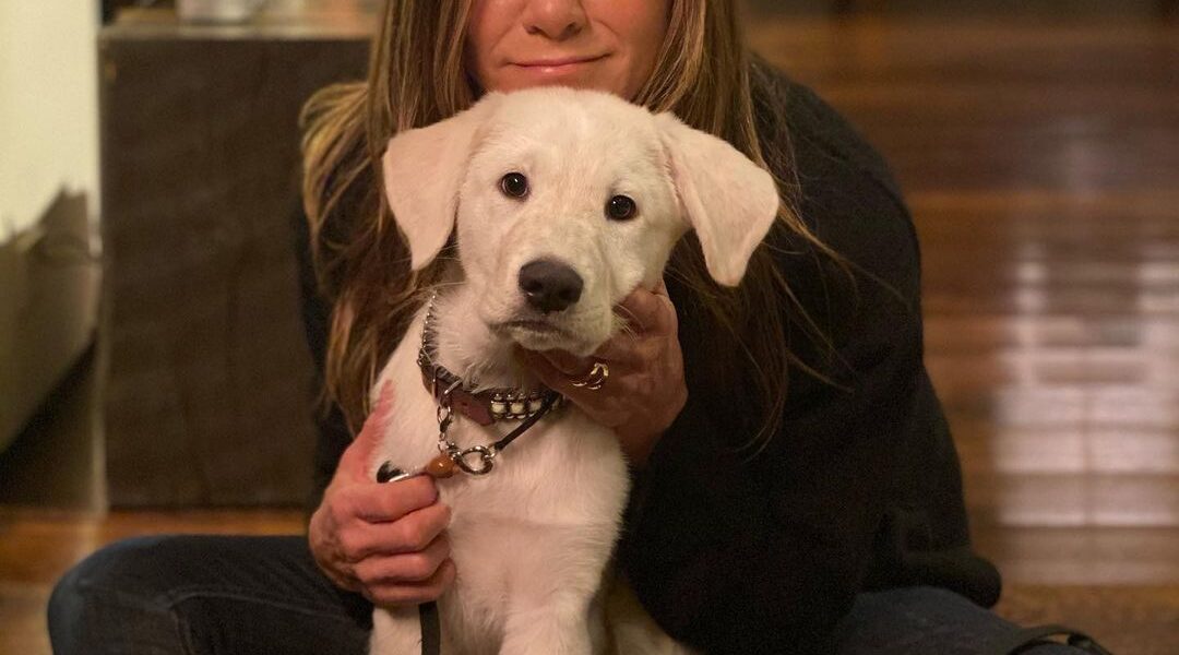 Jennifer Aniston's rep denies report she's adopting a child
