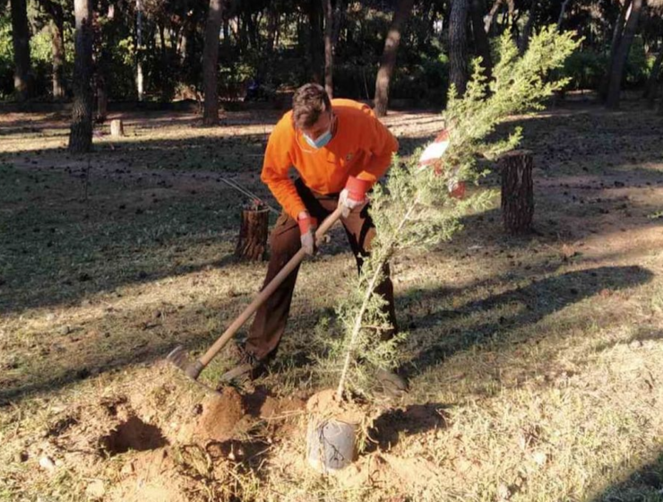 400 trees planted in Athens for Earth Day 2021