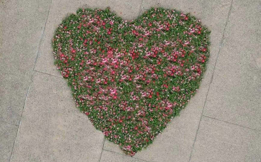 Heart of flowers in Thessaloniki for Mother's Day